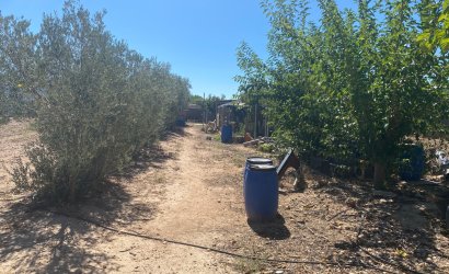 Revente - Country House -
Salinas