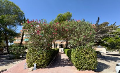 Herverkoop - Apartment -
Guardamar del Segura - Pinomar