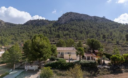 Reventa - Villa -
La Zarza