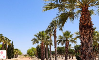 Nieuwbouw Woningen - Villa -
San Fulgencio - La Escuera