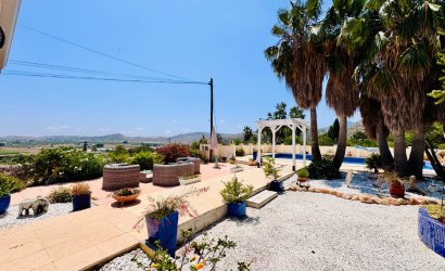 Resale - Villa -
Aspe