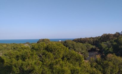 Nieuwbouw Woningen - Penthouse -
Guardamar del Segura - Pueblo