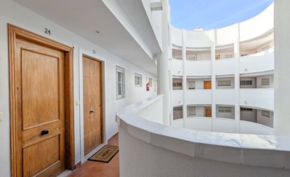 Reventa - Apartment -
Torrevieja