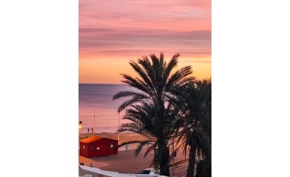 Reventa - Apartment -
Torrevieja