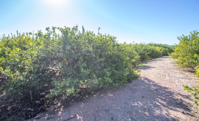 Herverkoop - Country House -
Albatera