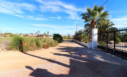 Herverkoop - Country House -
Catral - Catral - Country