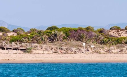 Nieuwbouw Woningen - Apartment -
Guardamar del Segura - Pueblo