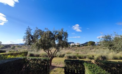 Revente - Apartment -
Hacienda Riquelme Golf Resort