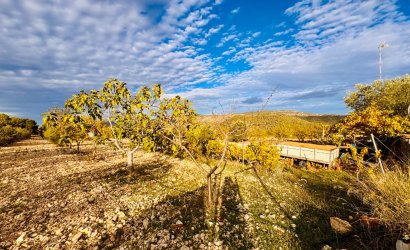 Resale - Villa -
Monóvar - Monovar