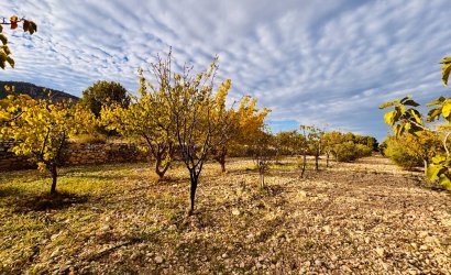 Resale - Villa -
Monóvar - Monovar