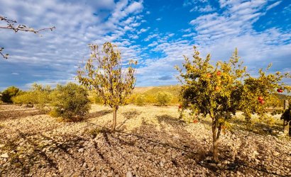 Resale - Villa -
Monóvar - Monovar