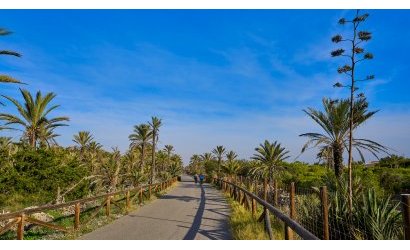 Resale - Commercial -
Guardamar del Segura - Center