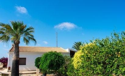 Revente - Villa -
Guardamar del Segura - El Raso