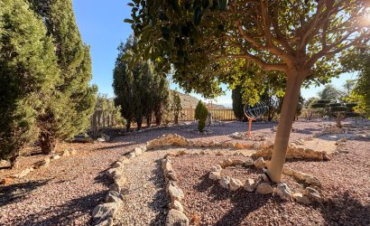 Herverkoop - Herenhuis -
Crevillente