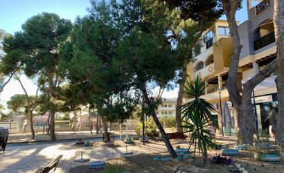 Nieuwbouw Woningen - Bungalow -
San Javier - Roda Golf