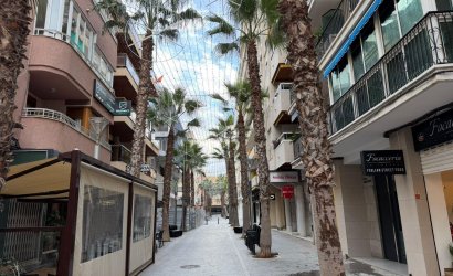 Revente - Apartment -
Torrevieja - Centro