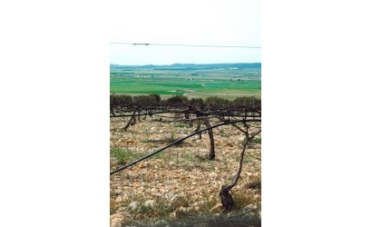 Nieuwbouw Woningen - Villa -
Yecla