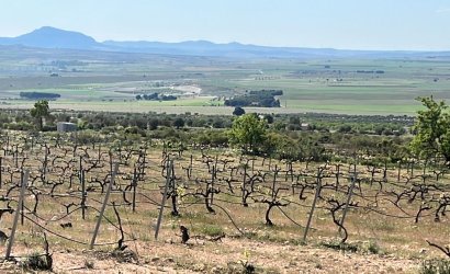 Nieuwbouw Woningen - Villa -
Yecla