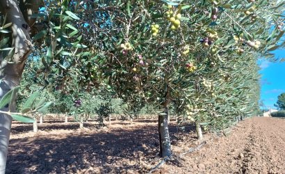 Herverkoop - Villa -
Yecla - Inland