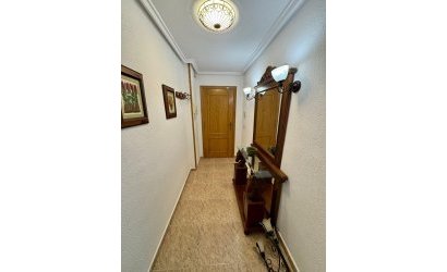 Revente - Apartment -
Torrevieja - Centro