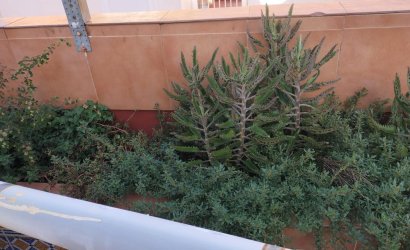 Revente - Apartment -
Torrevieja - La Mata