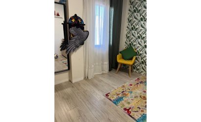 Reventa - Apartment -
Torrevieja - Aguas Nuevas