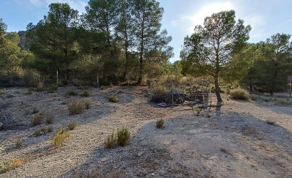 Herverkoop - Villa -
Yecla - Inland