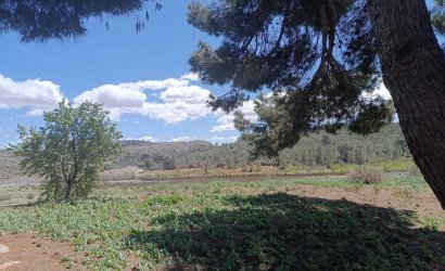 Revente - Country House -
Yecla - Inland