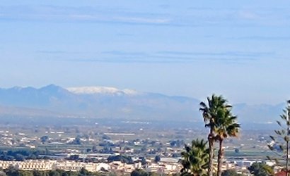 Herverkoop - Villa -
Algorfa - Inland