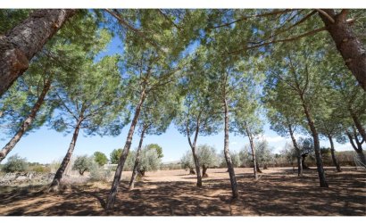 Revente - Villa -
Yecla - Inland