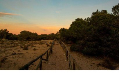 Obra nueva - Villa -
La Marina - La Marina / El Pinet