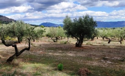 Resale - Country House -
Muro de Alcoy