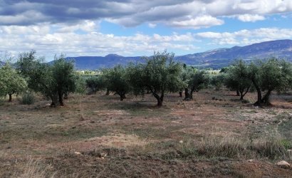 Resale - Country House -
Muro de Alcoy