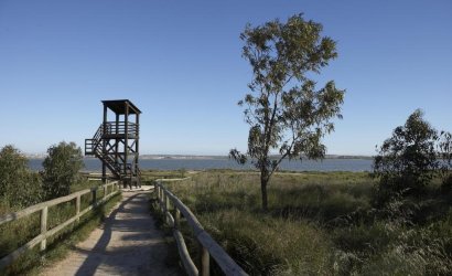 Nouvelle construction - Attique -
San Miguel de Salinas - Pueblo