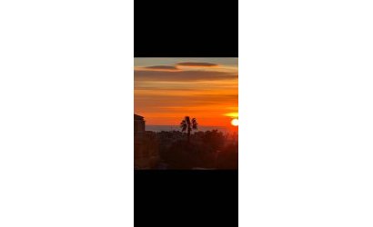 Reventa - Apartment -
Torrevieja - Aguas Nuevas