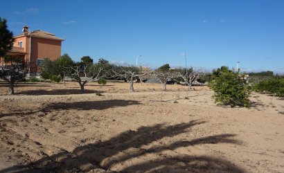 Herverkoop - Country House -
El Altet