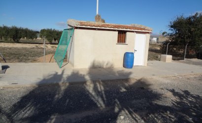 Herverkoop - Country House -
El Altet