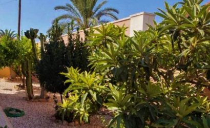 Resale - Villa -
Torrevieja