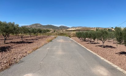 Revente - Country House -
Sax