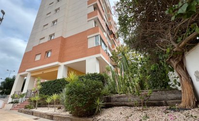 Resale - Apartment -
Guardamar del Segura - Puerto