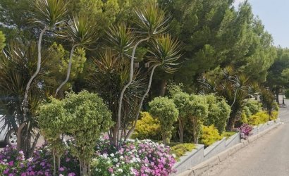 Reventa - Apartment -
Orihuela Costa - Costa Blanca