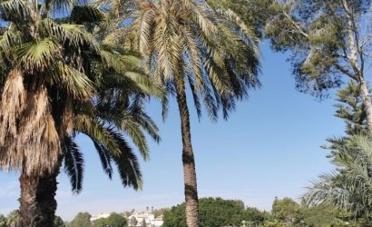 Reventa - Apartment -
Orihuela Costa - Costa Blanca