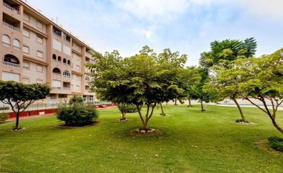 Herverkoop - Penthouse -
Torrevieja - Centro