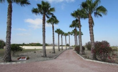 Herverkoop - Finca -
Dolores - Comunidad Valenciana