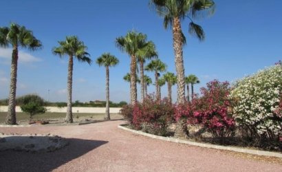 Herverkoop - Finca -
Dolores - Comunidad Valenciana