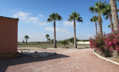 Herverkoop - Finca -
Dolores - Comunidad Valenciana