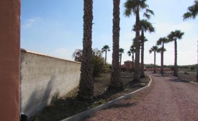 Herverkoop - Finca -
Dolores - Comunidad Valenciana