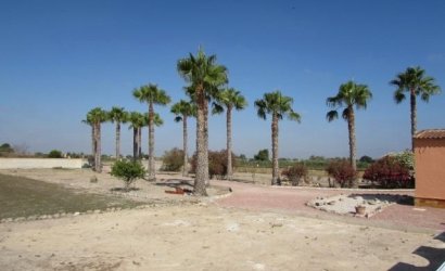 Herverkoop - Finca -
Dolores - Comunidad Valenciana