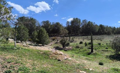 Reventa - Country House -
Villena - Inland