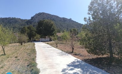 Resale - Villa -
Abanilla